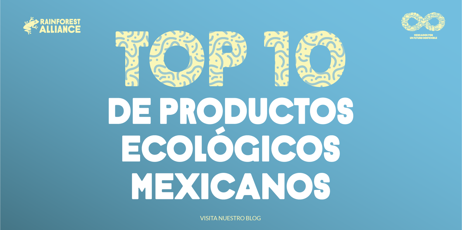 Top 10 de productos ecológicos mexicanos